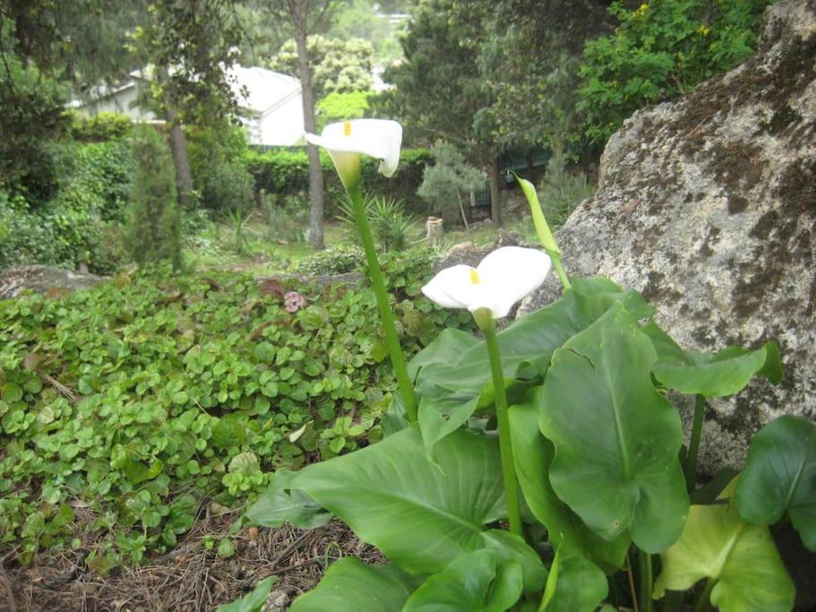 Villa La Rocalla del Tiétar à Sotillo de la Adrada Extérieur photo
