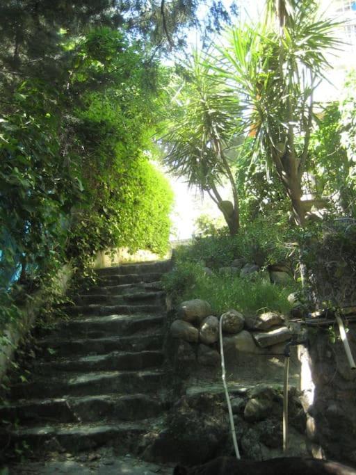 Villa La Rocalla del Tiétar à Sotillo de la Adrada Extérieur photo